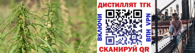 Купить закладки  Алексеевка  Дистиллят ТГК жижа 